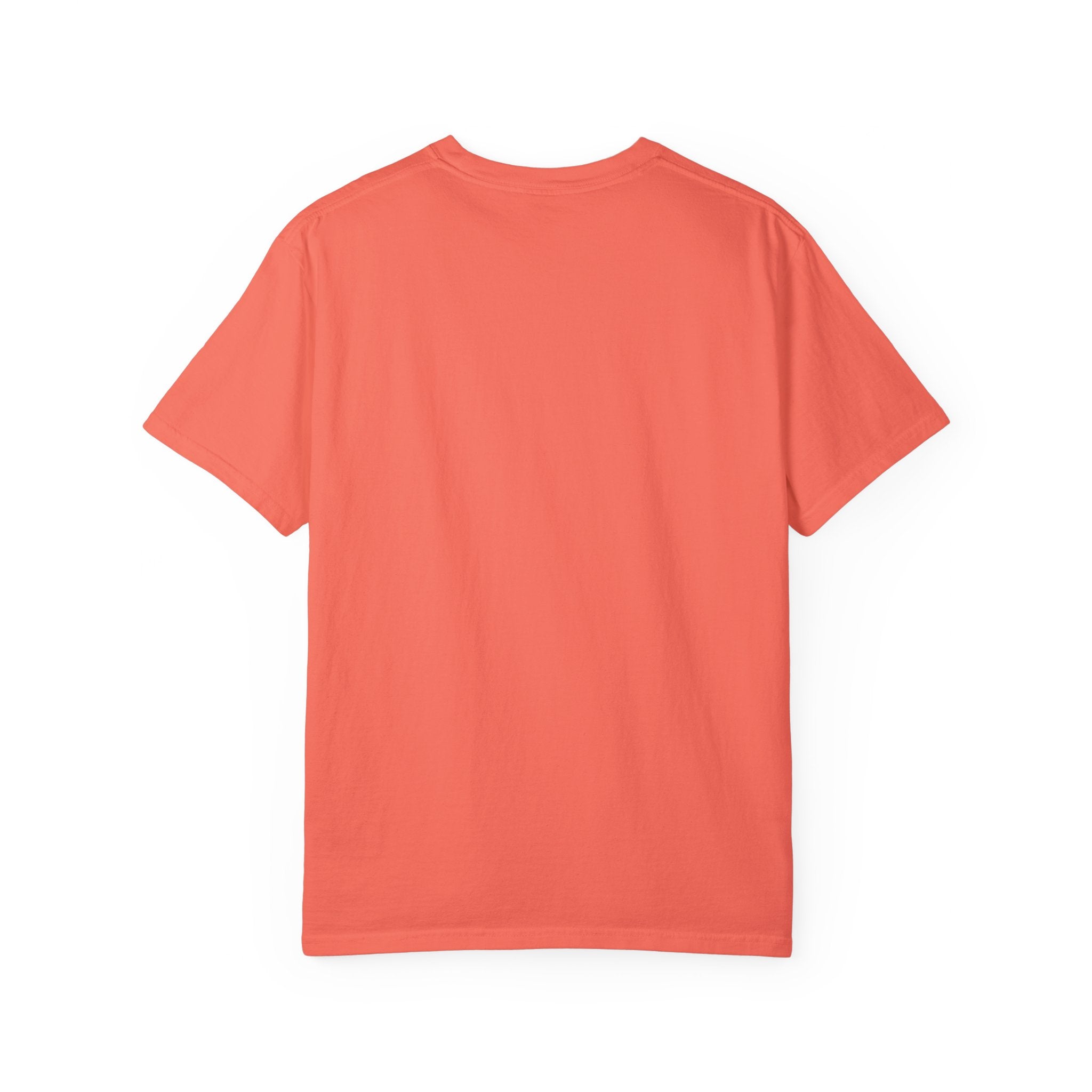 House Unisex Garment-Dyed T-shirt