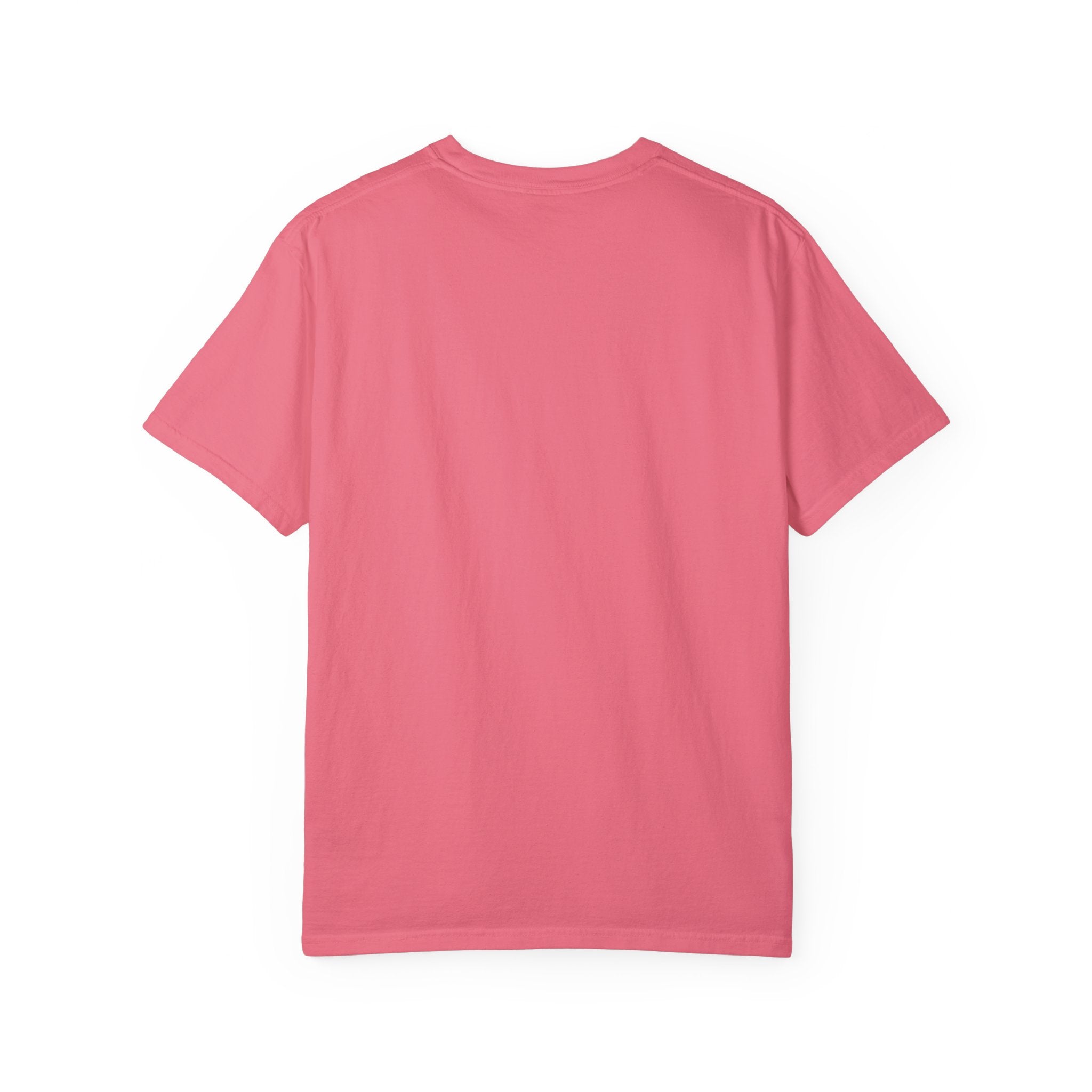 House Unisex Garment-Dyed T-shirt