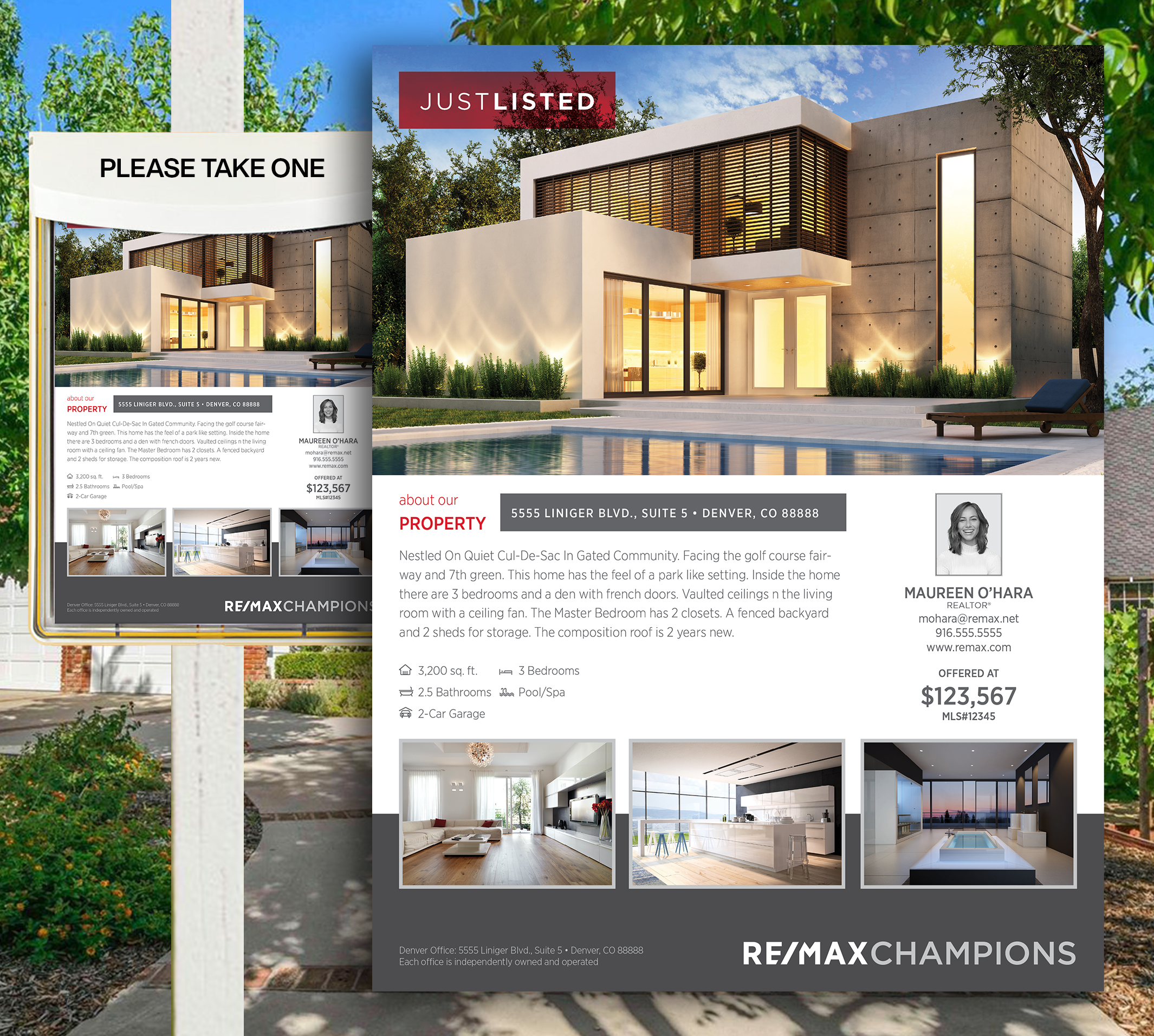 Remax Premium Listing Flyers Design 011