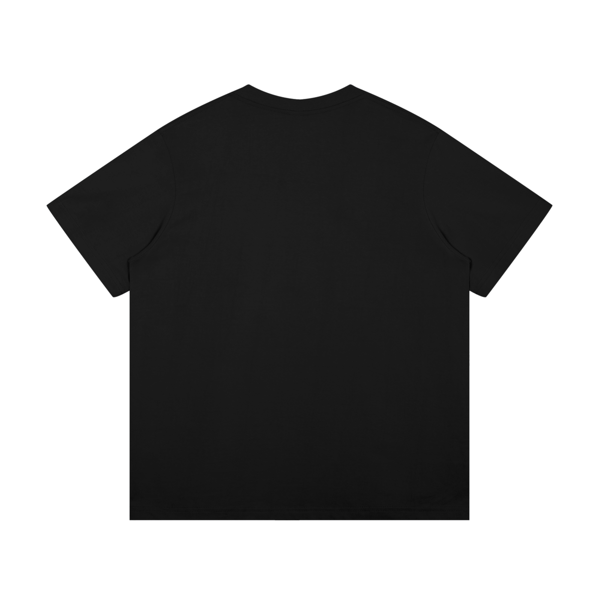 Unisex Mid-Weight Cotton T-Shirt
